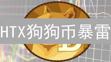 HTX狗狗币暴雷？交易深度、提币速度大揭秘！散户避坑指南！